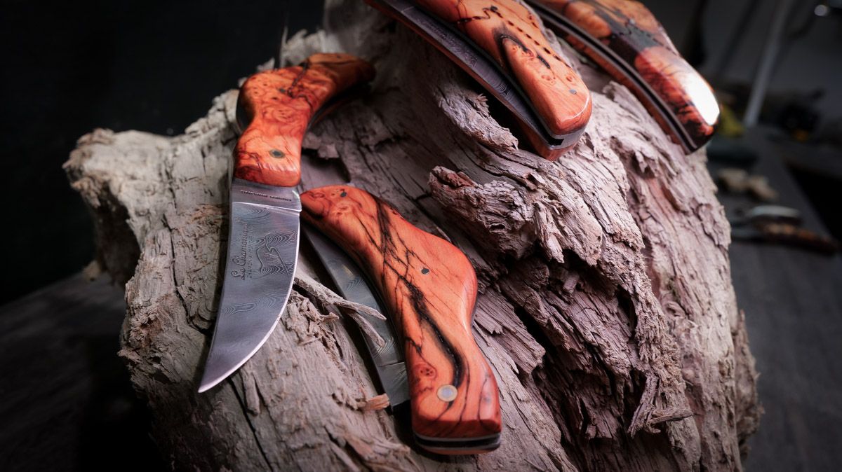 couteaux pliants en loupe d'arolle bois fossile